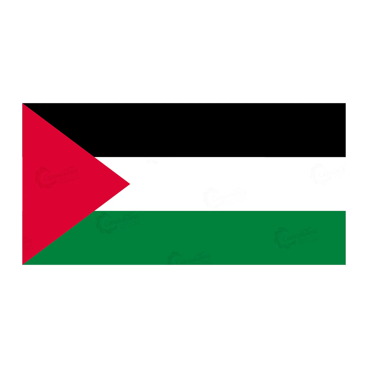Palestine Flag